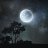 Moon¥