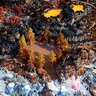 Fire & Ice Warzone