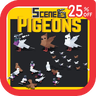 Scenes - Pigeons - Environment