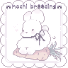 ✨୨✚୧ MochiBreeding ୨✚୧✨[1.17-1.21.X]