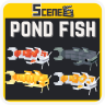 Scenes - Pond Fish - Environment