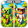 ⬜ Hide and Seek (Minigame) ✨ [1.8 - 1.21.11]️ ⬜