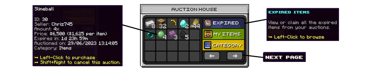 auction1.png