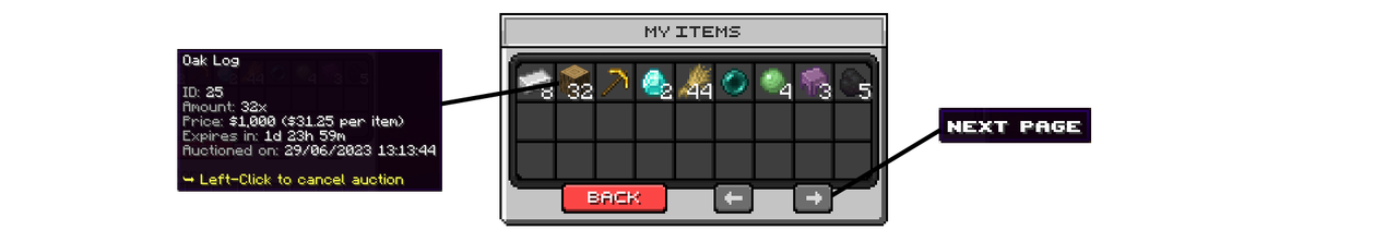 auction2.png