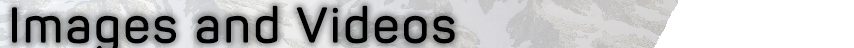qPXvrsL.png